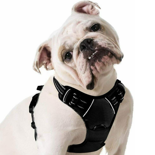 Heavy Duty No Pulling Front Clipping Dog Harness