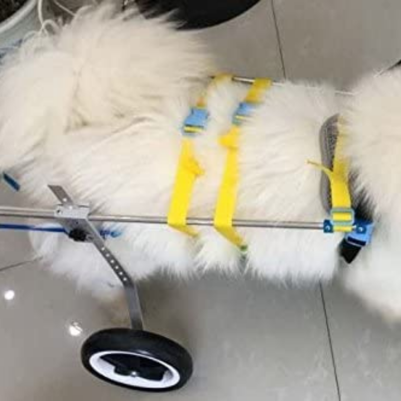 Dog Mobility Back Legs Wheelchair