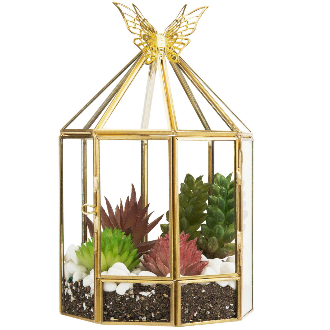 Hexagonal Closed Indoor Glass Plant Standing Terrarium