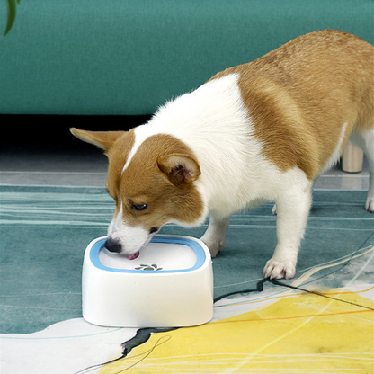 Large Portable Spill Proof Dog Water Fountain Bowl