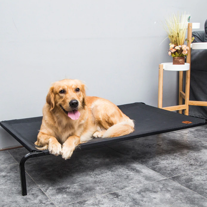 Soft Elevated Dog Cot Bed | Zincera