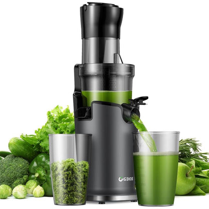 Fresh Squeeze Cold Press Kitchen Juicer