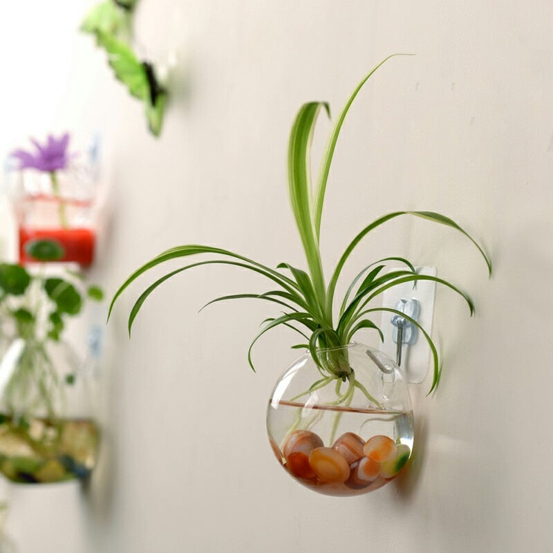 Luxurious Wall Mounted Planter Holder | Zincera