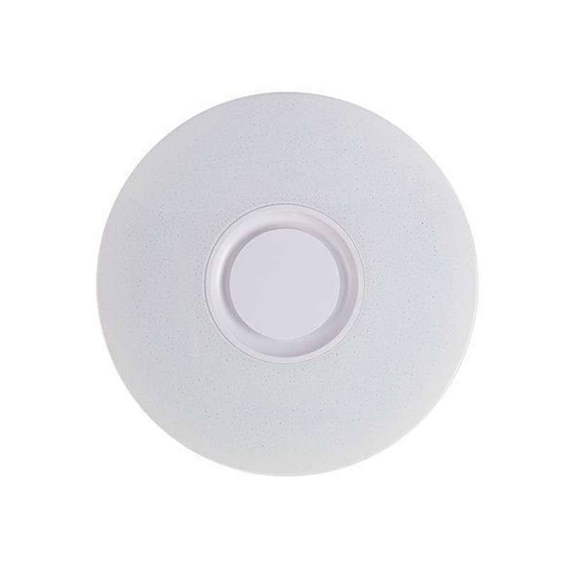 LED Flush Mount Ceiling Modern Light With Music