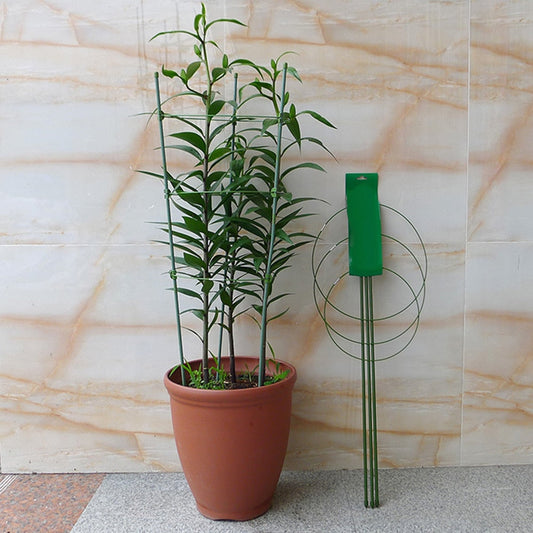 Heavy Duty Tomato Plant Support Trellis Cage | Zincera