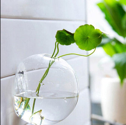 Luxurious Wall Mounted Planter Holder