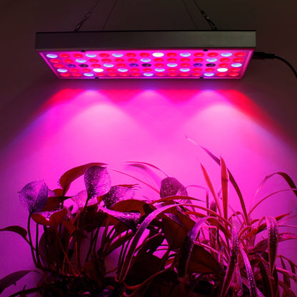 Plant LED Grow Lights Full Spectrum Indoor | Zincera