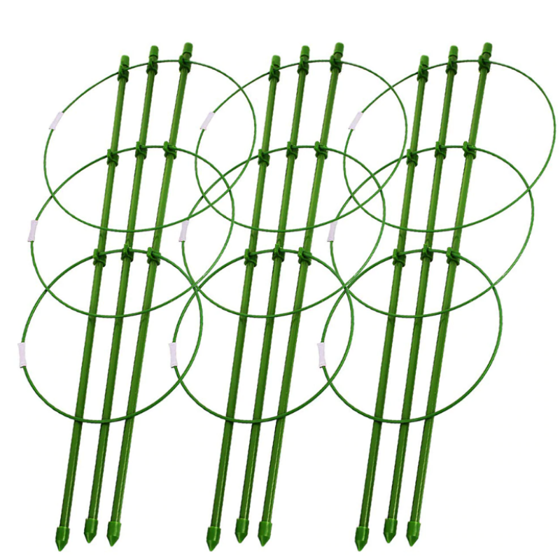 Heavy Duty Tomato Plant Support Trellis Cage | Zincera